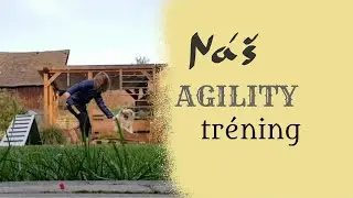 Zač&iacute;name AGILITY/Hravo so Psom