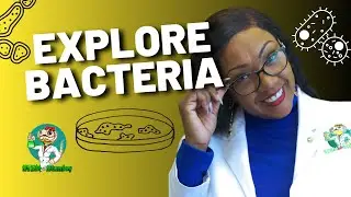Bacteria Explained for Pre-K Kids