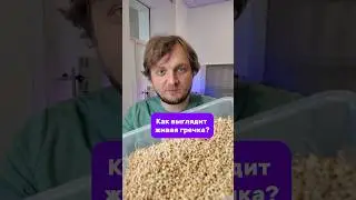 Настоящая зеленая гречка полезна для здоровья 💜
