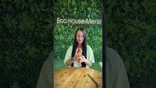 Eco House Merisi &mdash; every sip turns into an emotion.  #georgia #cocktail #bar   #batumi #sakartvelo