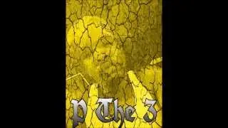 P The 3 - CONTROL Response 