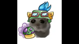 Improving ADC Fundamentals | Plat to Diamond Journey