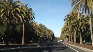 Palo Alto Palm Drive Stanford Gratitude Miles