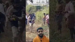 Tiger Cub Rescued in Gurupura Village, Hunsur Taluk 🐅 | Mysuru Forest Department Operation #shorts