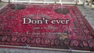 Don't ever use a scrubber to clean an Oriental rug