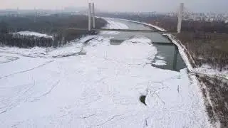 Wiceła