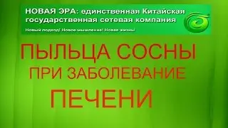 NEW ERA-Новая Эра  Пыльца сосны при заболевании печени WhatsApp +7 701 612 02 44