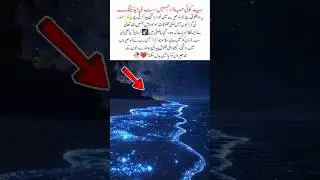 Living Light in the Dark 😱✨#miracleofallah #beautuofnature #islamichistory #motivation #inspiration