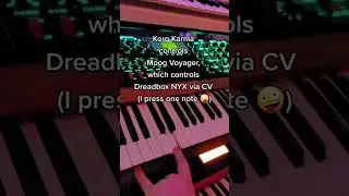 Funtime! w/Korg Karma, Moog Voyager, Dreadbox Nyx #synth #moog #korg #midi #wild