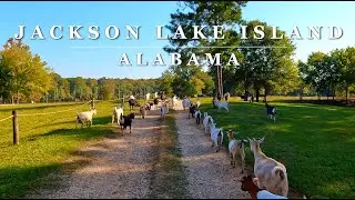 [4K] GOATS of JACKSON LAKE Island - Prattville, Alabama - Scenic 4K Driving Tour
