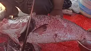 Amezing Katla Fish Cutting #katla #fish #shorts #viral #shortsfeed #fishmarket #bestfood