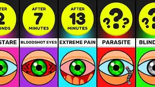 Timeline: What If You Stopped Blinking?