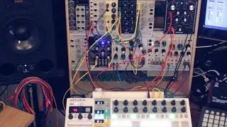 Qadnic (Studio Electronics) & Roland Demora
