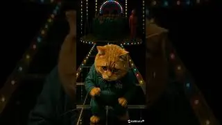 Squid Game Cat Faces the Glass Bridge 😱🐾 | Suspenseful Anime Vibes