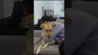 Hugging my Dog for too Long | #shorts