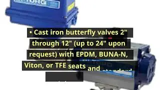 Valves Available from BI TORQ