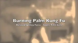 Burning Palm System