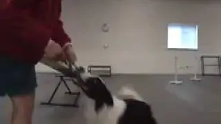 Table, Jump and Teeter Work
