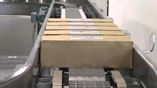 Container Handling Systems - 