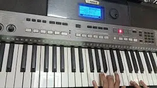 Harry Potter, Hogwarts theme song on Yamaha I-400.