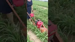 Single wheel machine with a width of 25 blades and 18 cm for weeding, trenching and soiling.