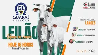 1° LEILÃO GADO DE CORTE DE 2026 GUARAÍ LEILÕES | GUARAÍ-TO 07/01/2026