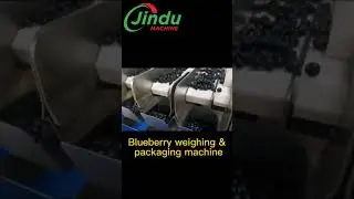 The Best Kept Secret to Efficient Blueberry Packing Equipment