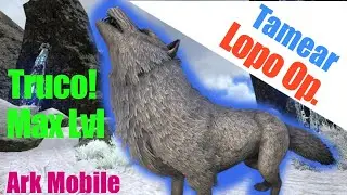 Truco✔️Tamear Lobo de Máximo Nivel!! 🐺 | Ark Mobile