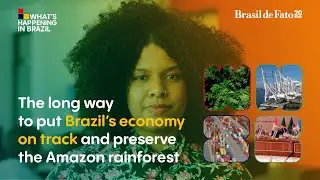 The long way to put Brazil&rsquo;s economy on track and preserve the Amazon forest