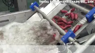 고구마 세척건조라인 (Sweet potato washing, drying line)