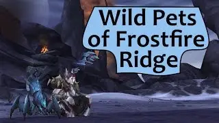 Wild Battle Pets of Frostfire Ridge - Draenor Safari Guide