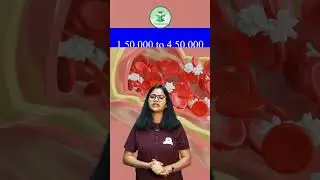 What is Platelets in Blood - Thrombocytes - What Is Normal Count of Platelets #civilstap #platelates