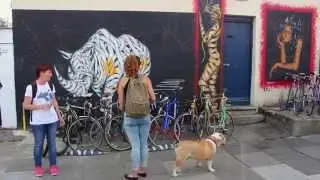 Camden Street Art Tours