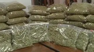 Crazy Marijuana Dispensary Raid 