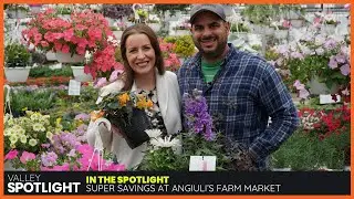 BOGO at Angiuli's Farm Market
