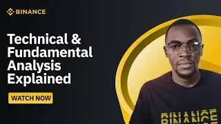 Технический и фундаментальный анализ для начинающих криптографов