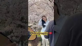 Chinese Beauty Through the Lens: Exploring Different Photography Styles