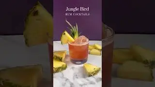 Jungle Bird Cocktail Recipe by The Ice Co