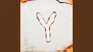 Y