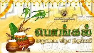 🔴15-01-2026 ✠ பொங்கல் திருப்பலி | அறுவடை விழா ✠ புனித சவேரியார் ஆலயம் | மாதா நகர் #pongal 
