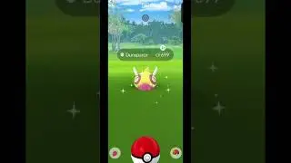 Shiny Pok&eacute;mon Go Highlights 🤯