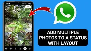 How To Add Multiple Photos On WhatsApp To A Status&nbsp;With&nbsp;Layout