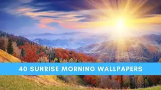 SunRise Morning Wallpapers Images + link