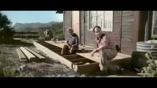 hornbach - cow