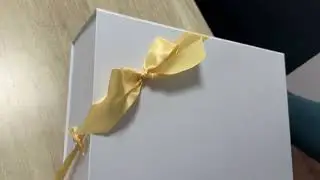 Foldable box with bow and ribbon loop concept
