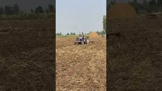 #zimidar #zimidarjatt #zimbabwe #zimidaar #jattlife #jattmind #jattwaad #ford3600 #ford #kheti #khet