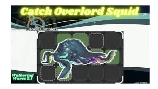 Wuthering Waves 2.1: Catch Overlord Squid  #like #gameplay