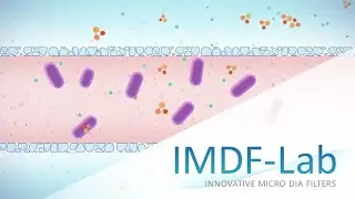 Hollow fiber in micro bio reactor use