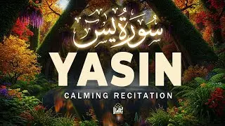 Surah Yasin (Yaseen) سورة يس | Emotional Recitation That Will Melt Your Heart | Basair TV