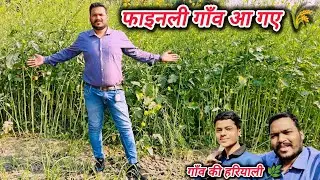 Finally Gaon Aa Gaye 🌾 | Kheton Ka Khoobsurat Nazara | Village Life Vlog #dailyvlog #villagelife 